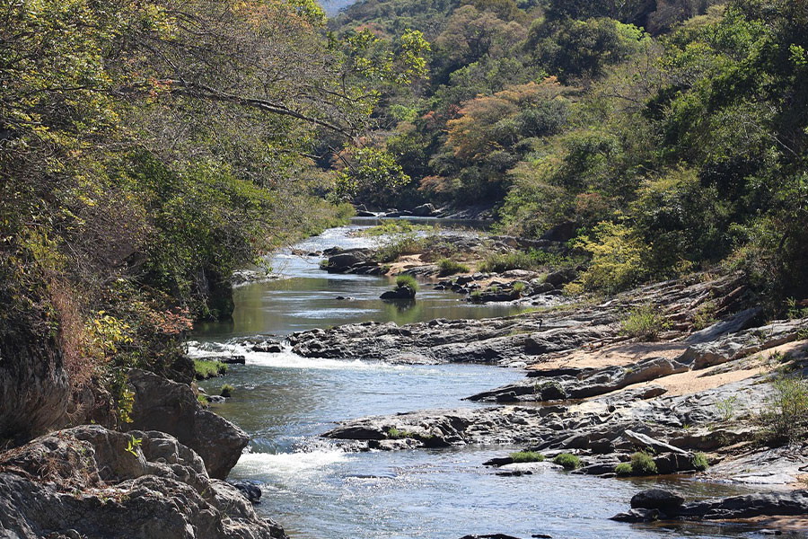 Minas river San Francisco nature