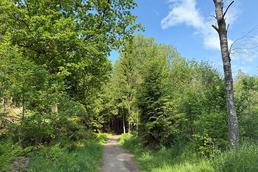 Nature area somewhere Norway