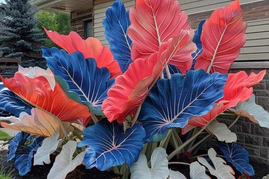 Hojas grandes y coloridas