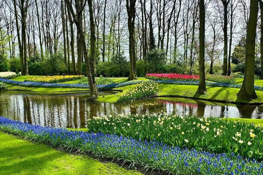 Blumenpark Nordwesten Lisse Niederlande