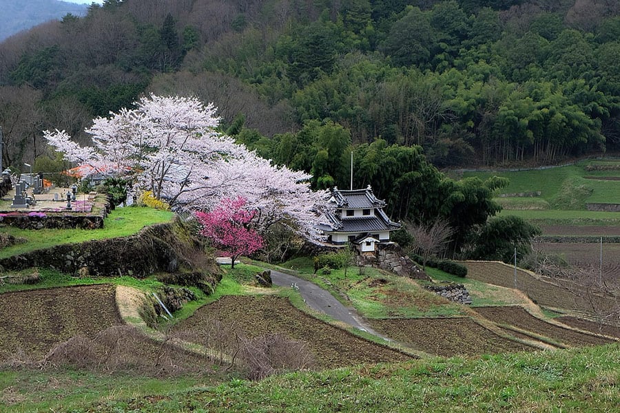 Japan Landschaft auf dem Land