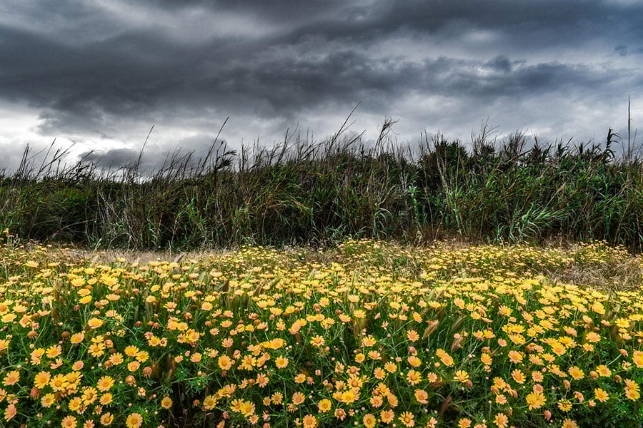 Paesaggio tempestoso primavera natura