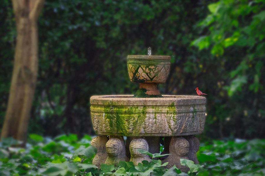 Verlassener Vogelbadbrunnen