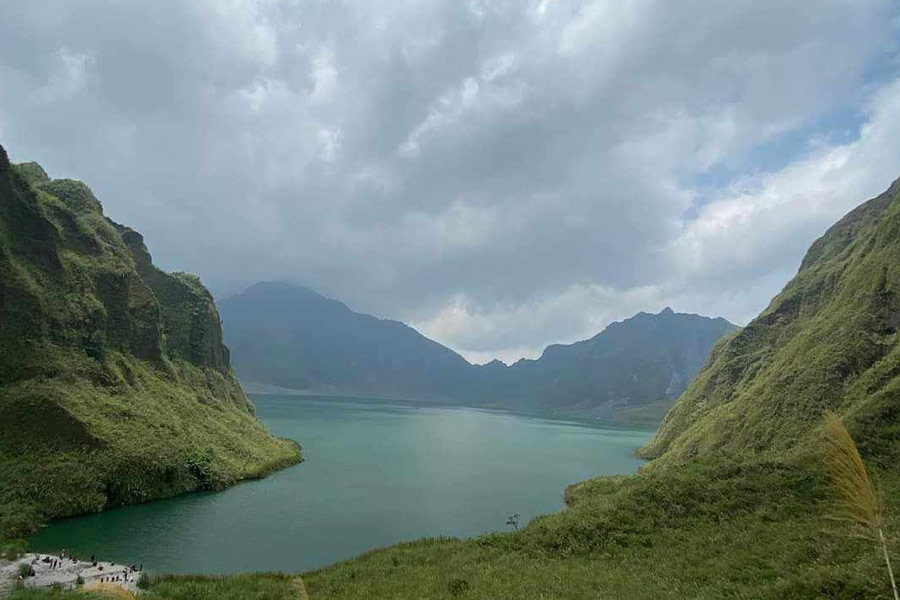 Erba argentata cinese lago pinatubo Filippine