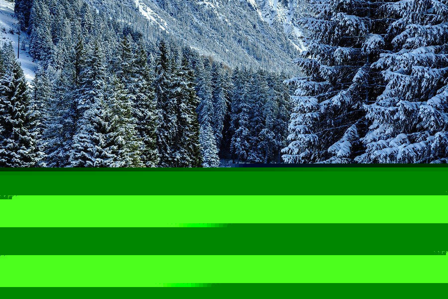 Natura paesaggio inverno 1