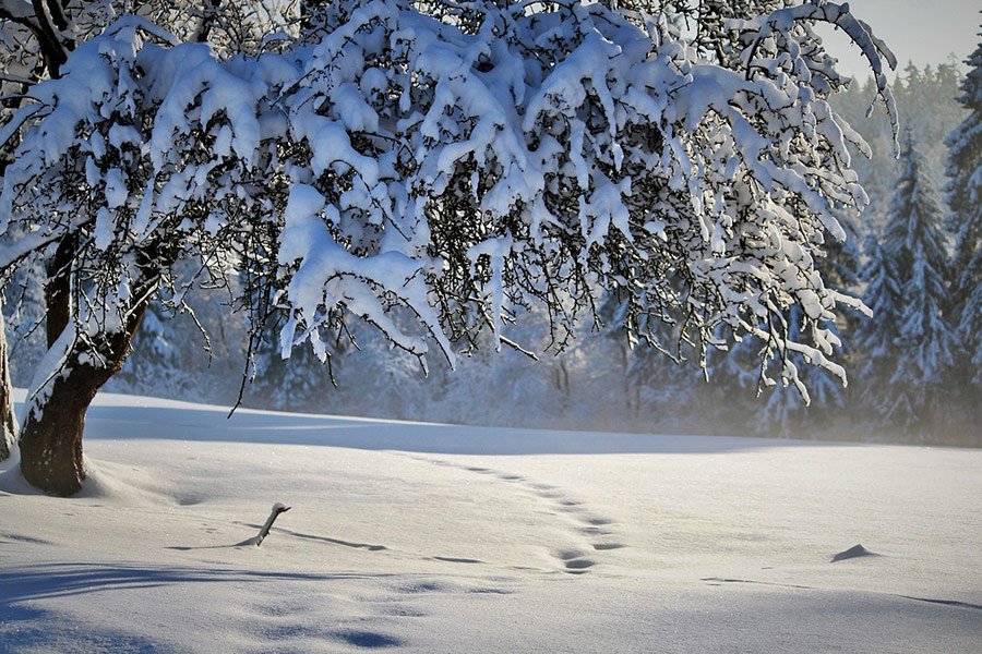 Wintersaison Natur 2