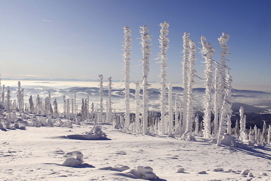 Bayerischer Wald Winter Schneelandschaft