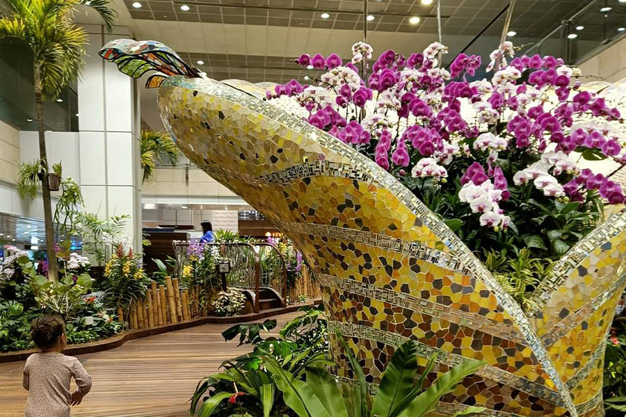 Jardin d'orchidées enchanté