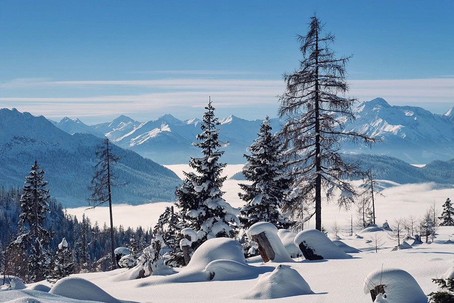 Berg Nebel Schnee Winter