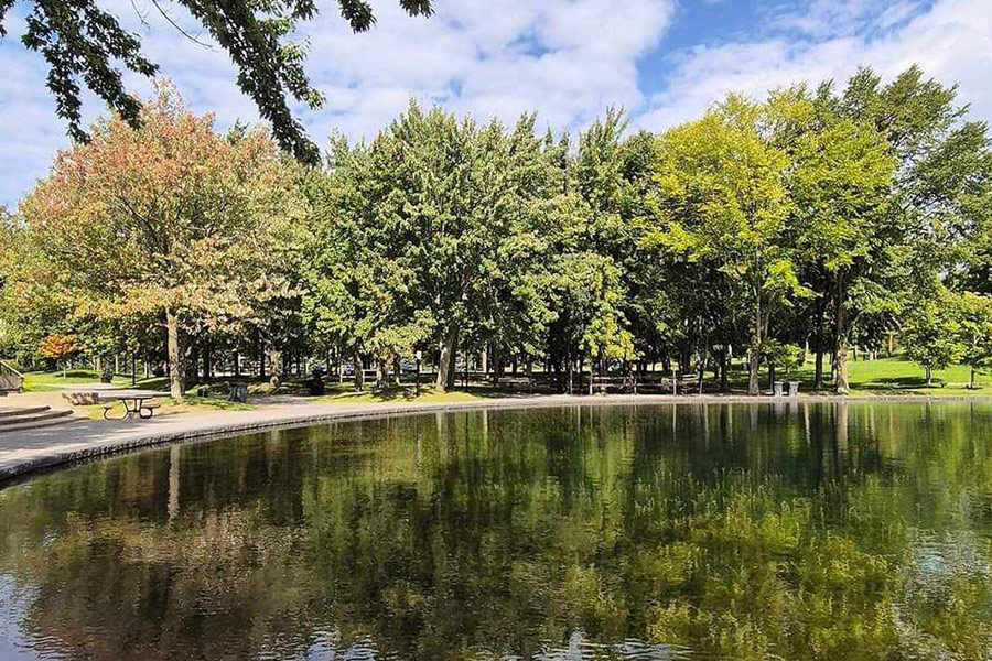 Natuurzicht met zwembad