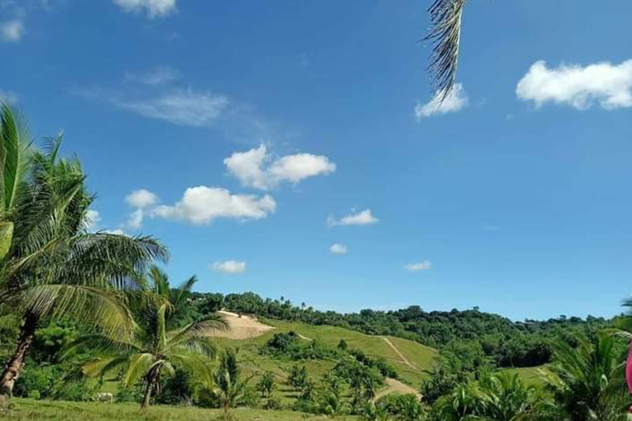 Paesaggio naturale così verde