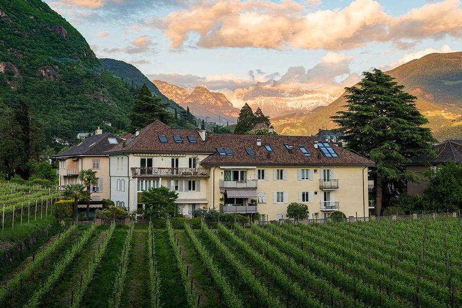 Hausbau Weinberg Bauernhof