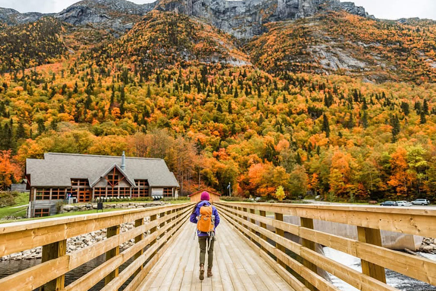Paesaggio naturale autunnale e ponte di legno