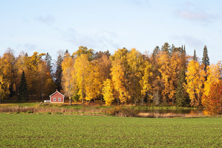 Herfsttijd landschap loofbomen