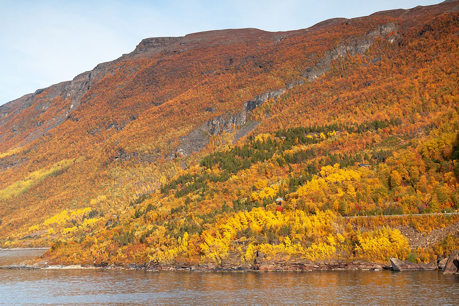 Paesaggio autunnale Fiordo