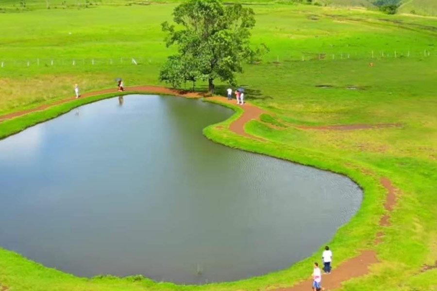 Ranch comunale Bukidnon Filippine