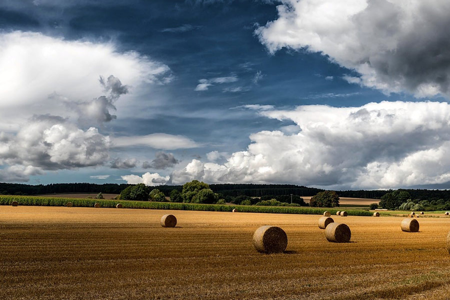 Feld mit Strohballen