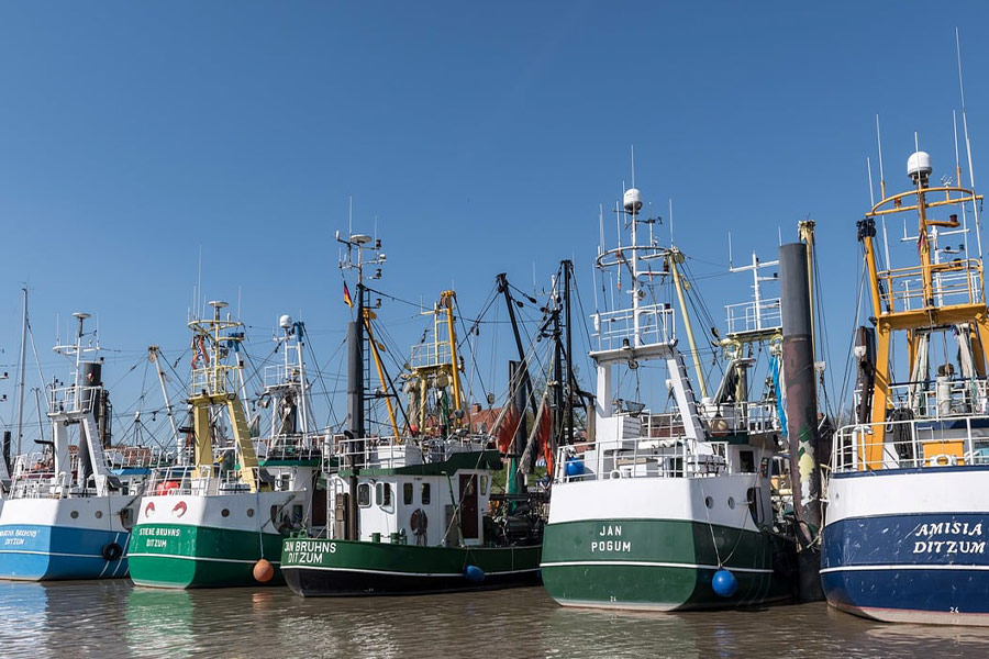 Fischerhafen Schiffe Boot