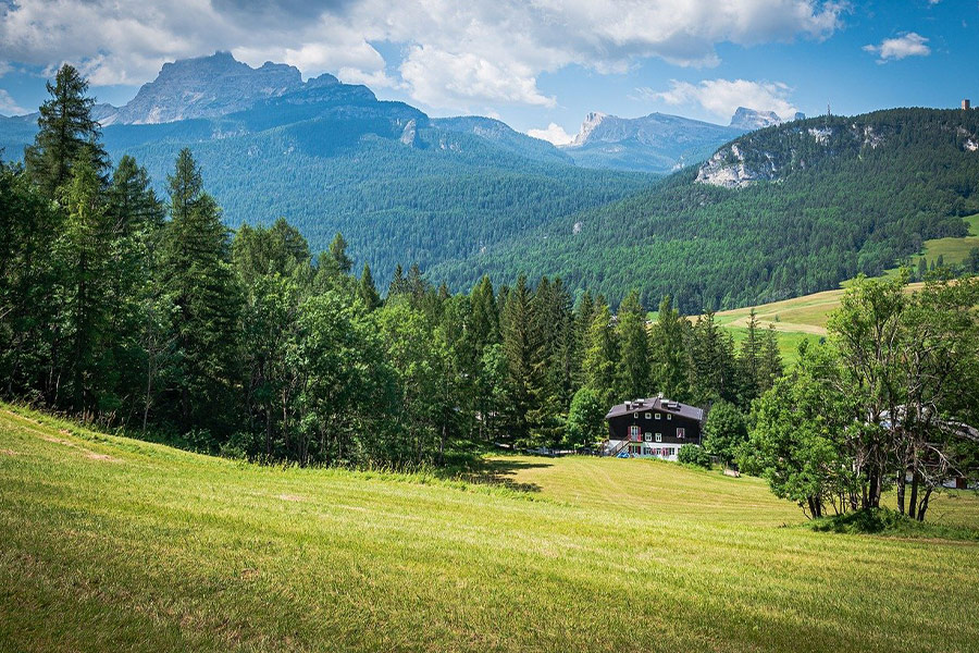 Paesaggio della pineta