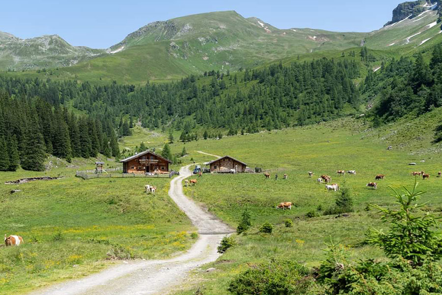 Paesaggio rustico in stile fienile