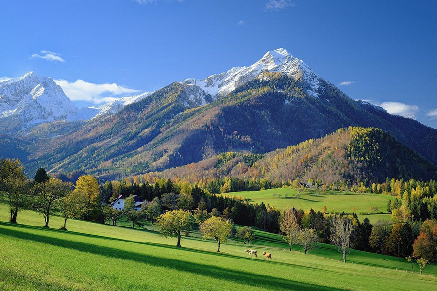 Bellissimo paesaggio prato alpino