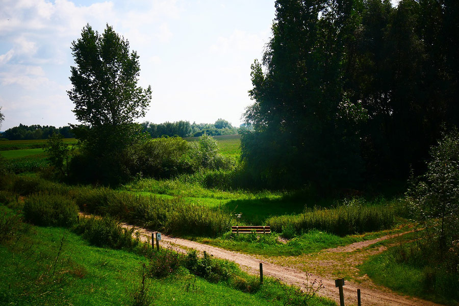 Sentiero naturalistico in campagna
