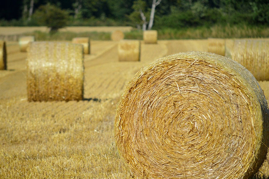 Strohballen-Heu-Landwirtschaft