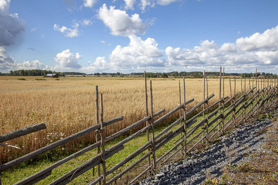 Fence surround grain field