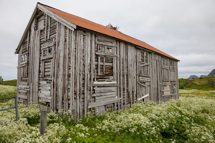 Wooden house abandoned flowers background