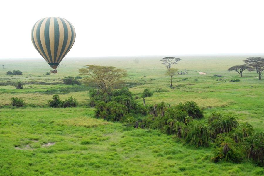 Balloon Serengeti Tanzania