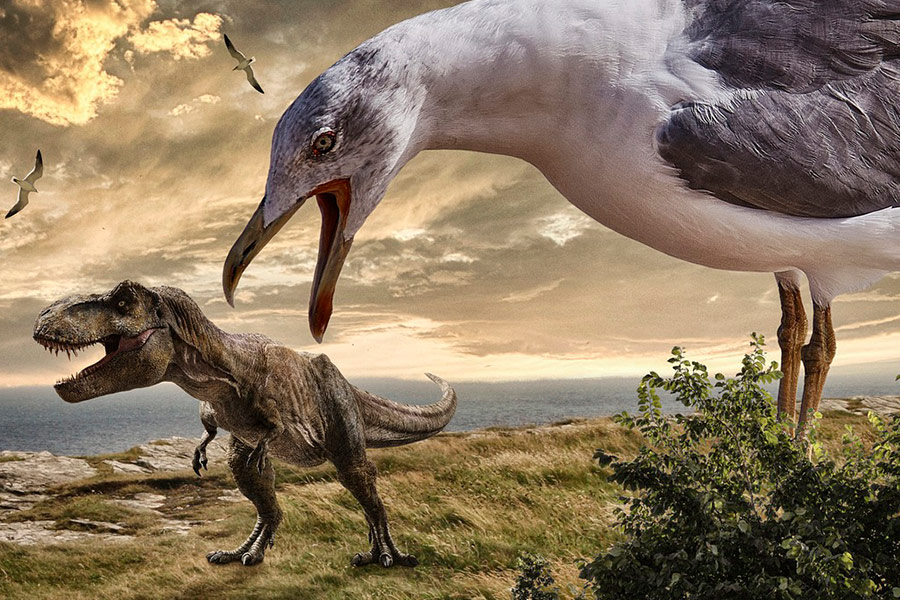 Gull dinosaur phehistoric