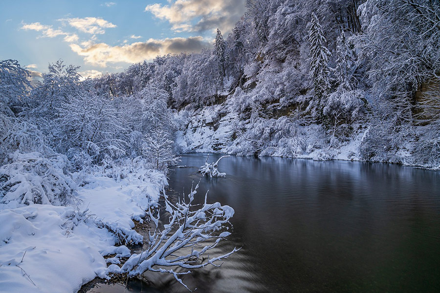 Lake forest winter time image