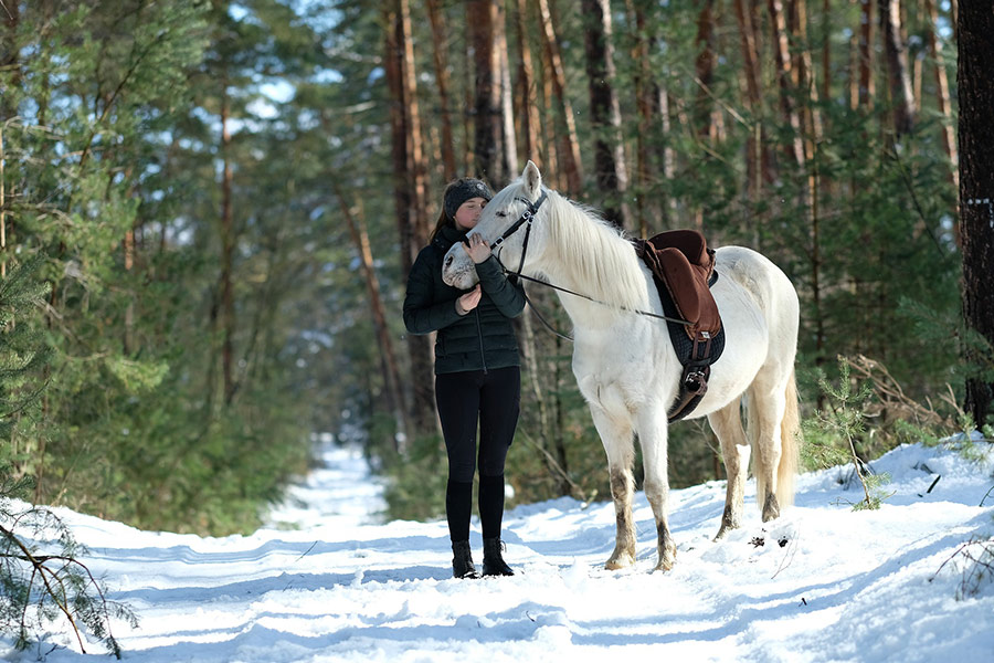 Horse with the owner