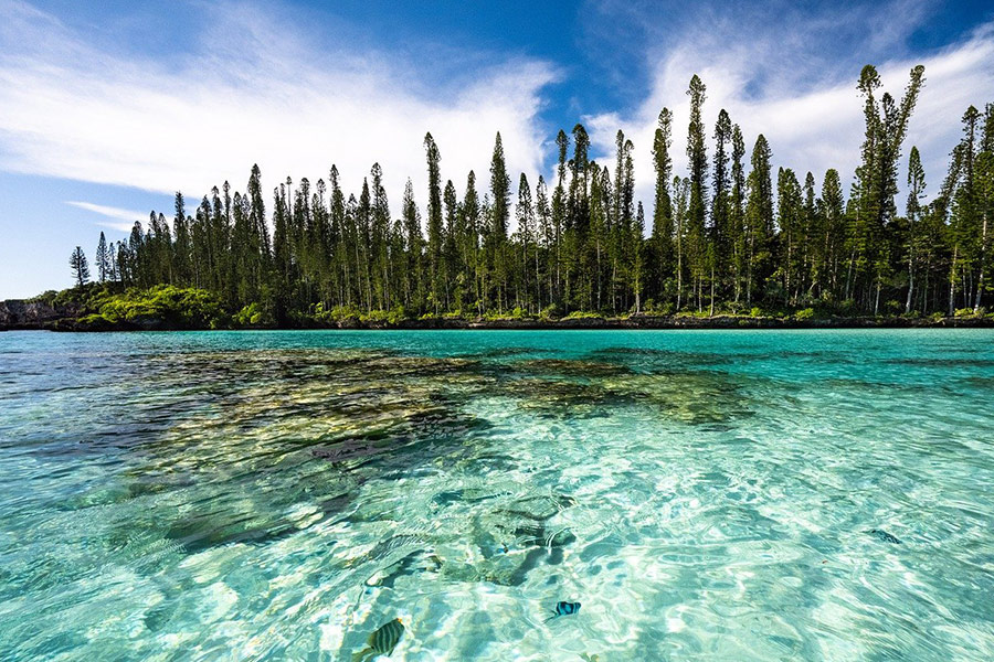 Nature water ocean image