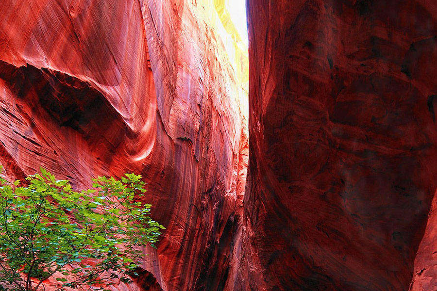 Slot canyon Utah landscape
