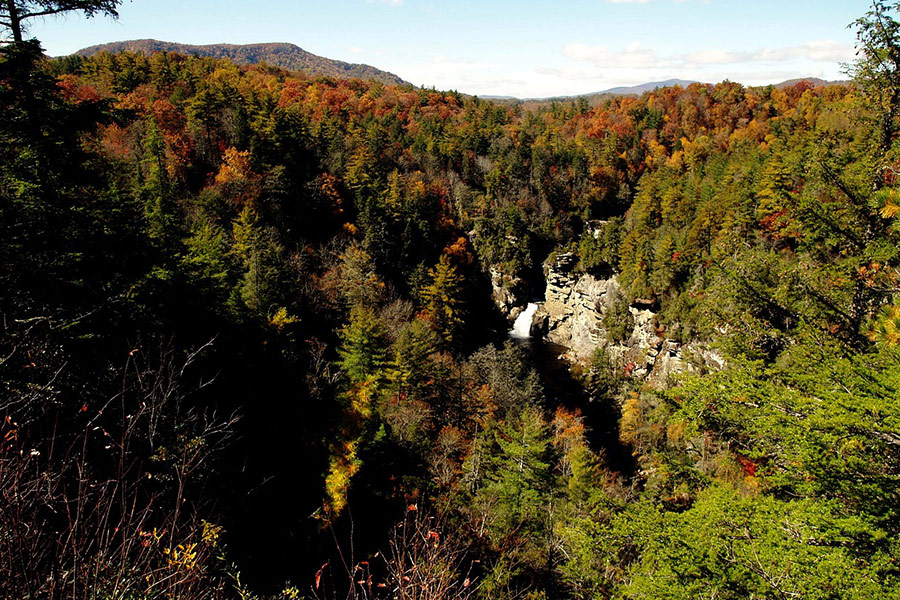 Autumn foliage lynn falls