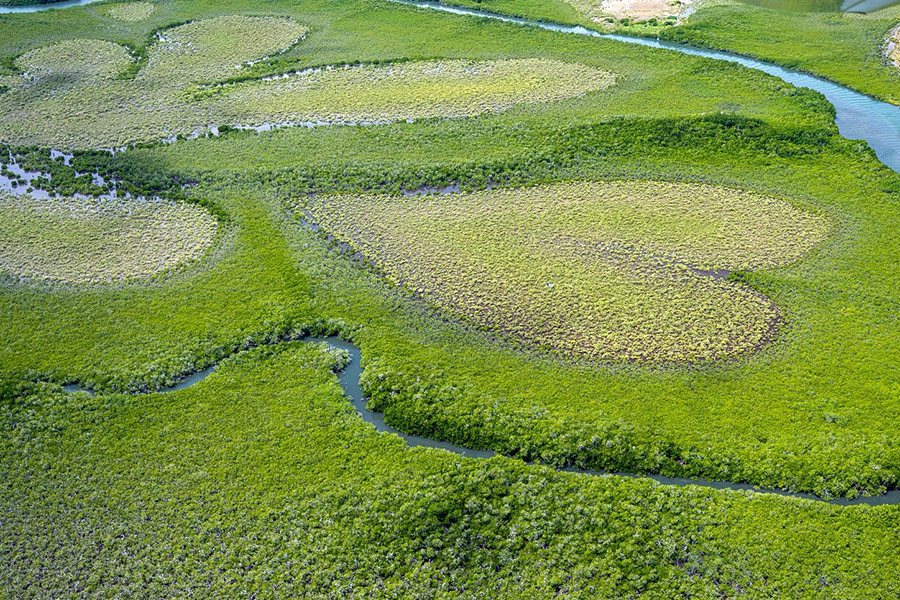 Heart of voh New Macedonia