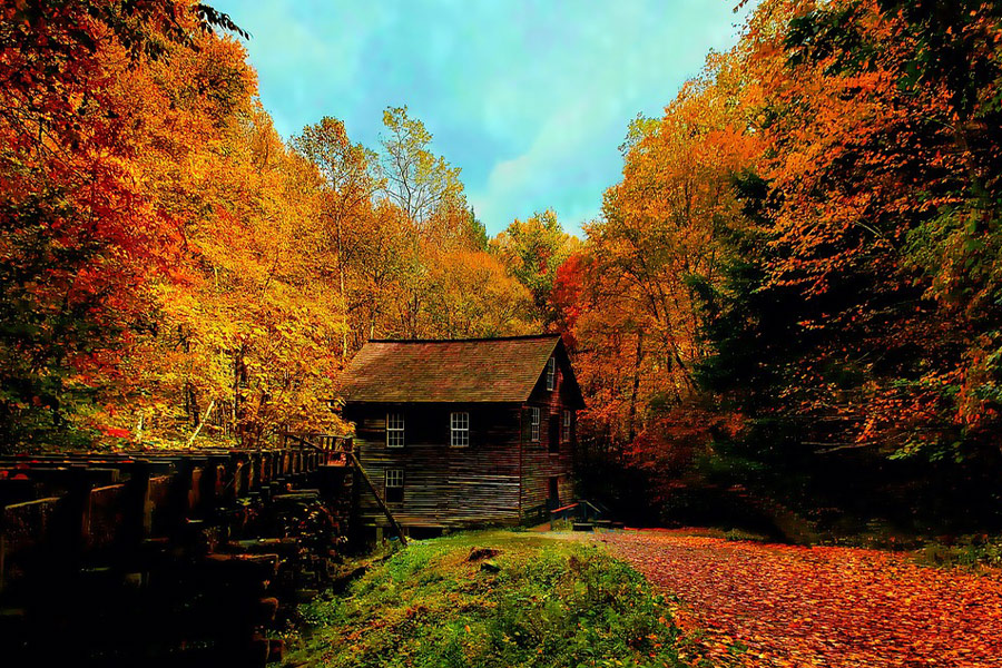 Autumn smoky mountain