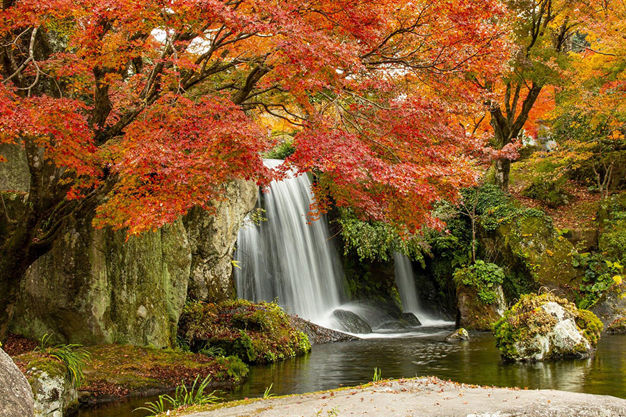 River creek waterfall