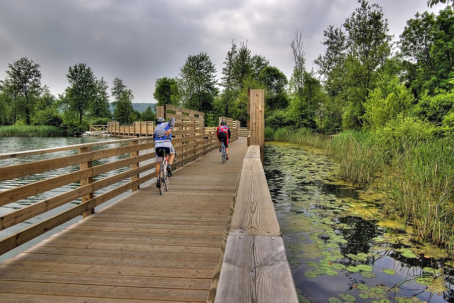 Lake bridge cycle track path