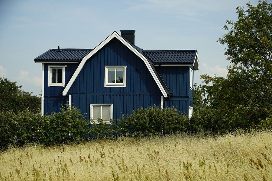 Swedish house blue