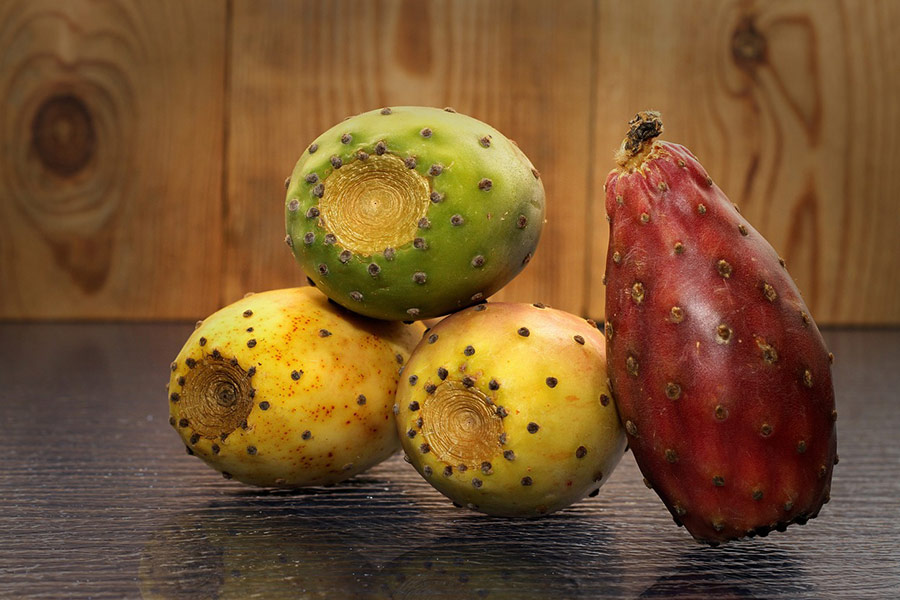 Prickly pear fruit cactus