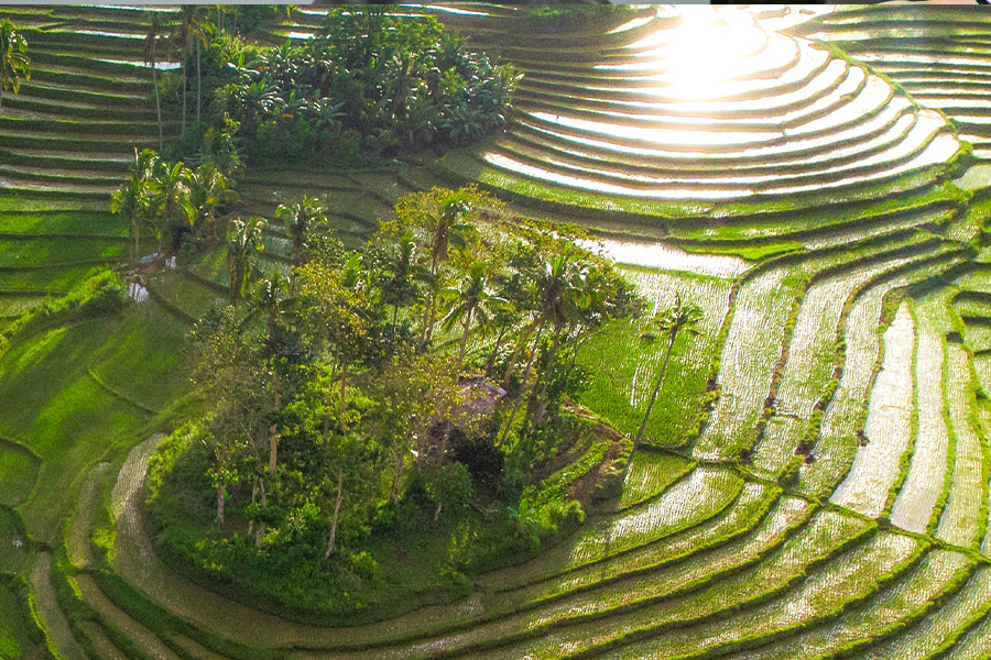 Garcia Hernandez Bohol Philippines