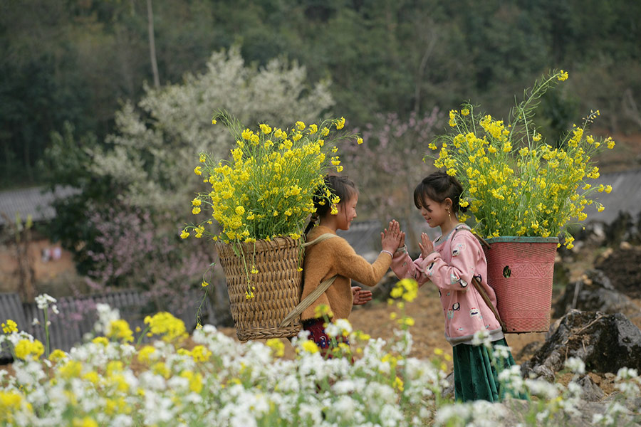 Kids Vietnam Ha Giang