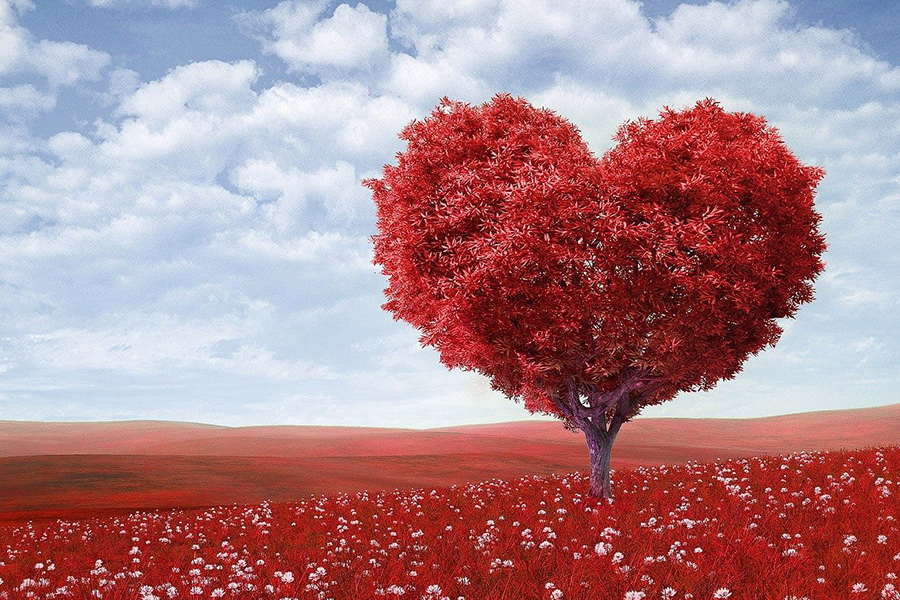 Heart shape red tree
