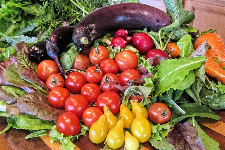 Farmer fresh vegetables