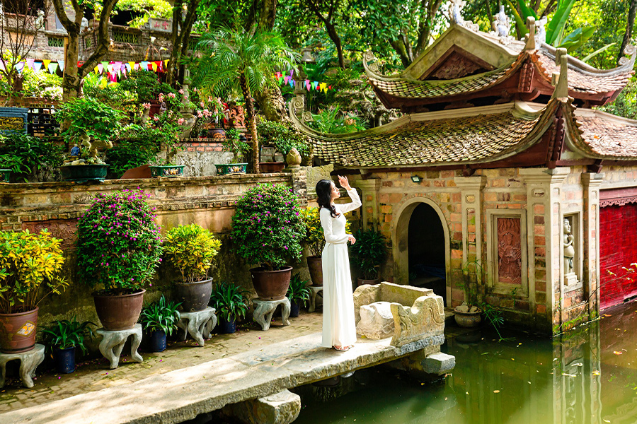 Ao Dai garden