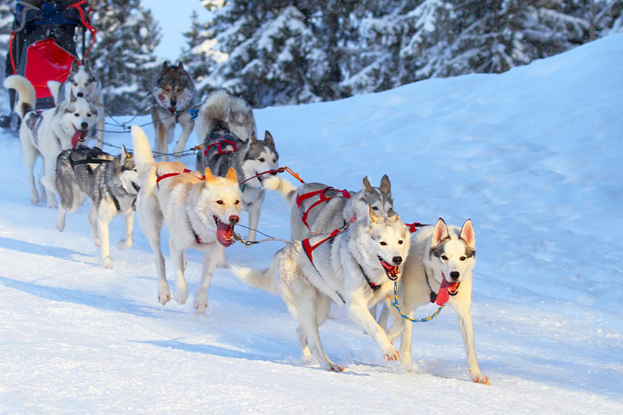 Scandinavian culture