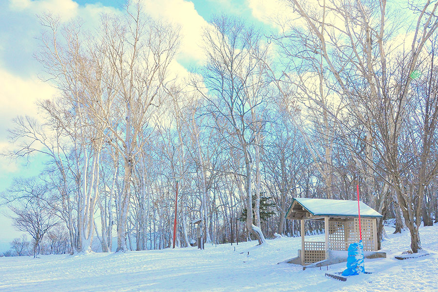Otaru Japan snow winter