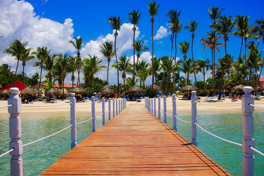 View of palm trees on beach